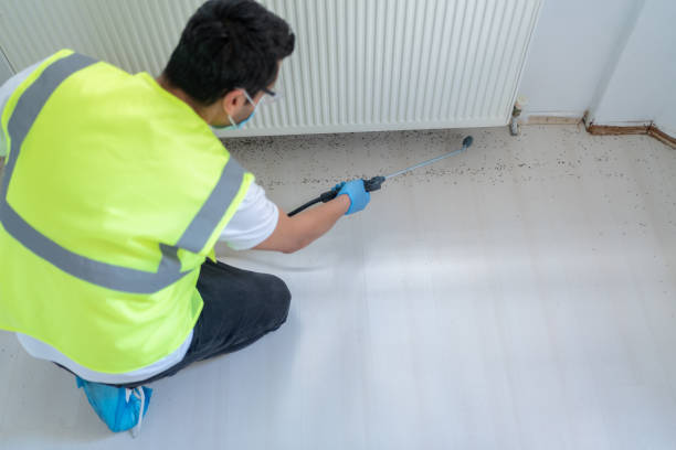 Best Fumigation Services  in Gainesville, TX